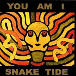 You Am I : Snake Tide